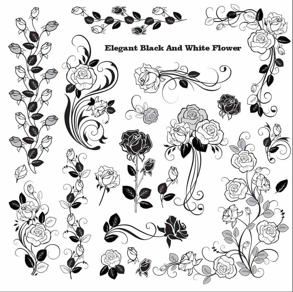 Elegant Black And White vector flower Art eps File - Free Vector