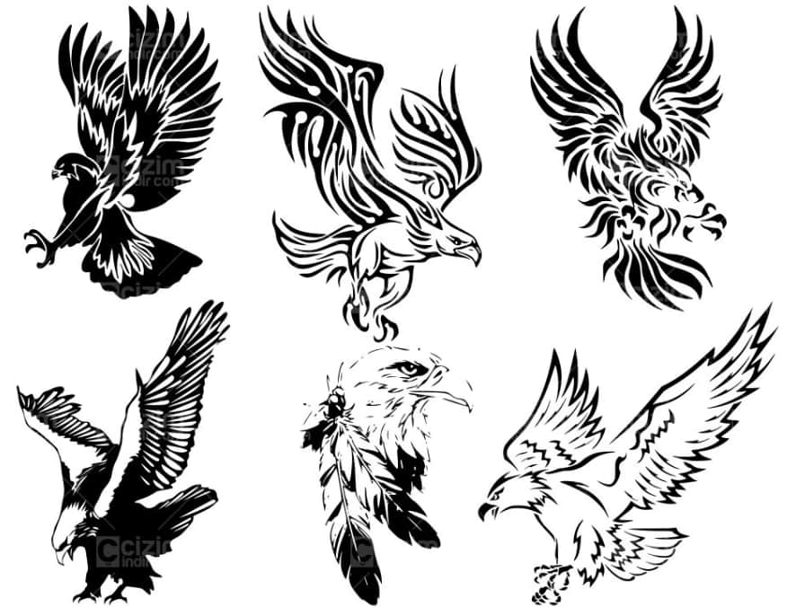 free eagle vectors 