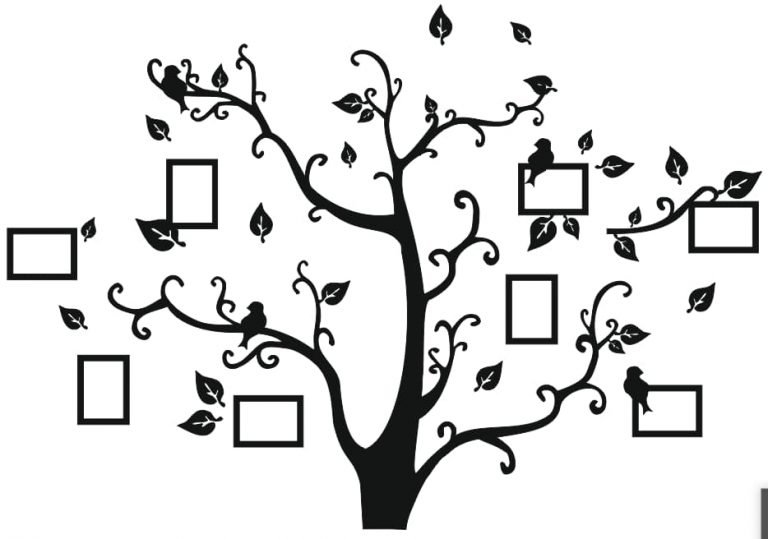 family tree vectors CDR file format - Free Vector