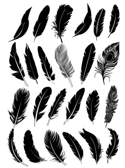 feather vector free 