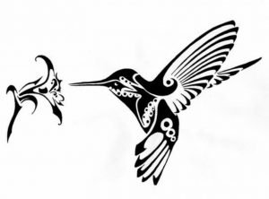 hummingbird vector 