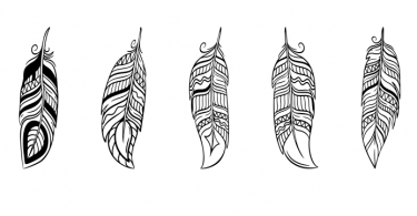 free vector feather