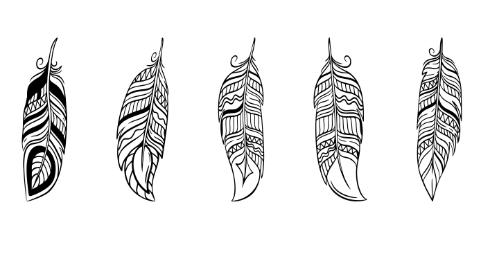 free vector feather 