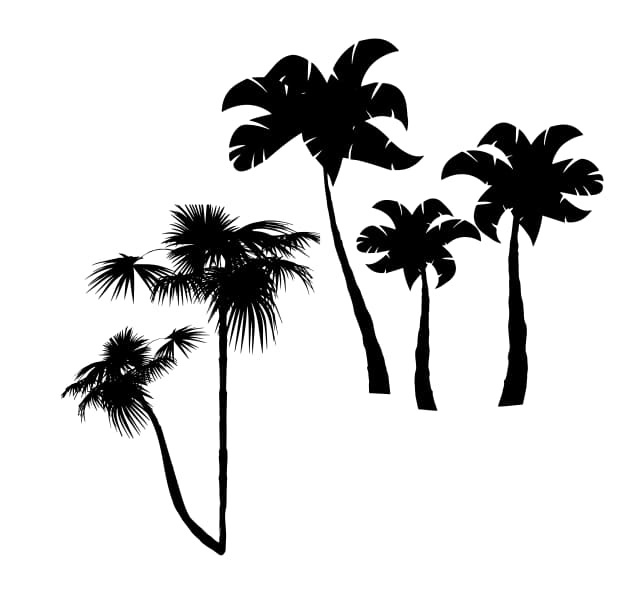 free vector palm tree