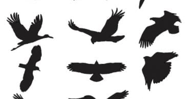 Bird Silhouette Vector dxf File download