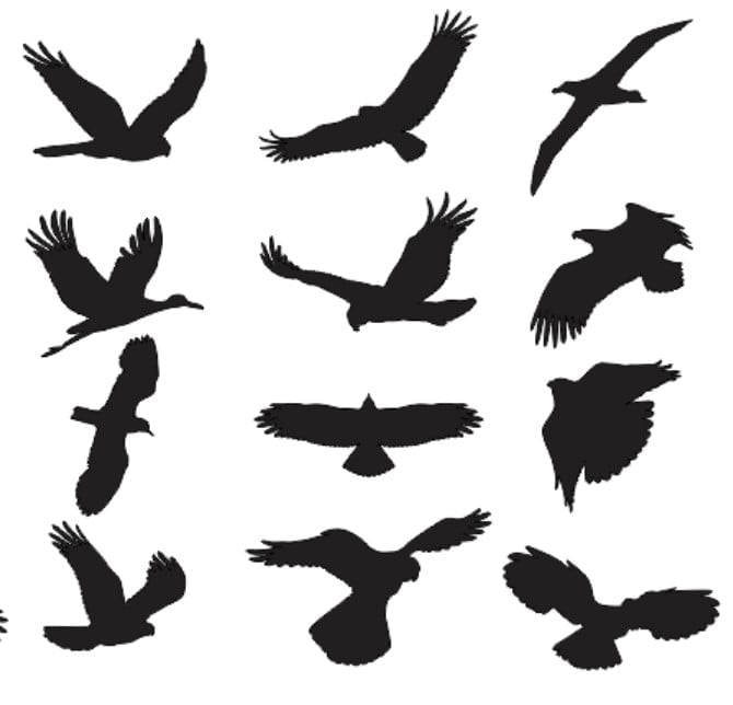 Bird Silhouette Vector dxf File download - Free Vector