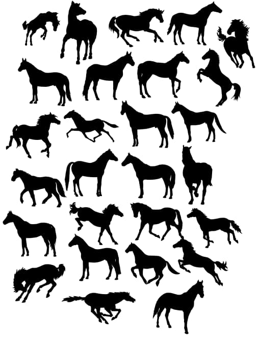 Horses Silhouette 